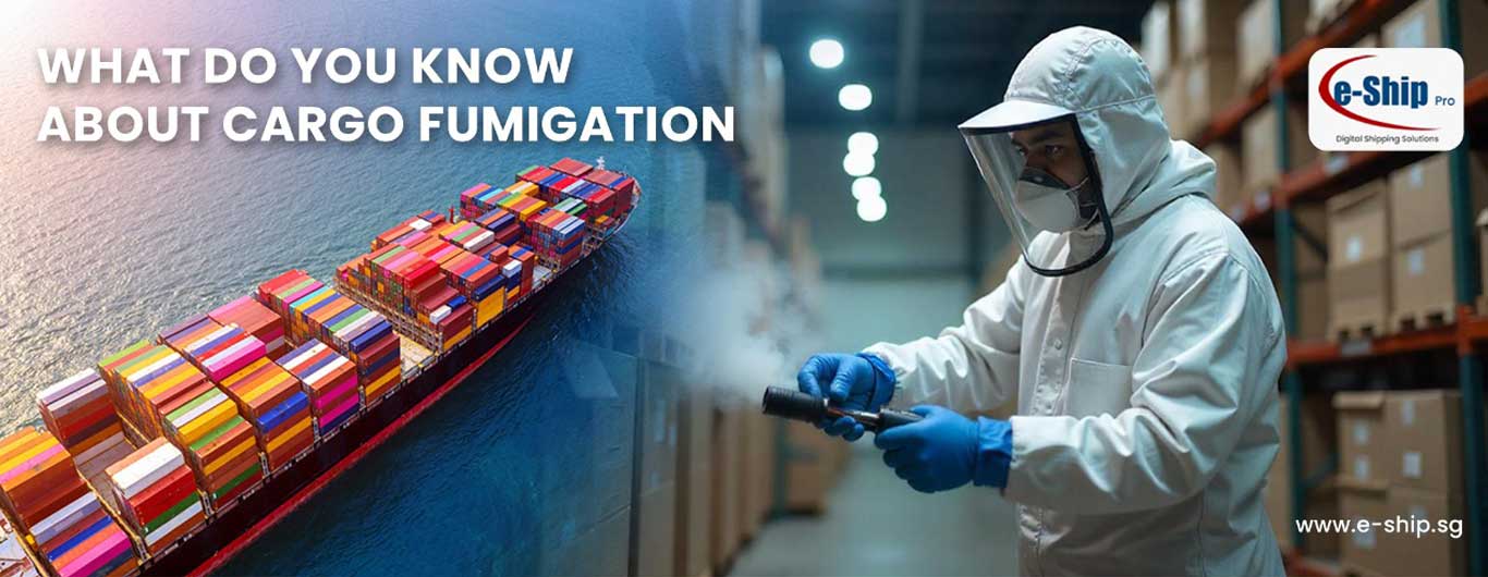 Cargo Fumigation In Freight Shipping: What you Need to Know